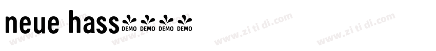 neue hass字体转换